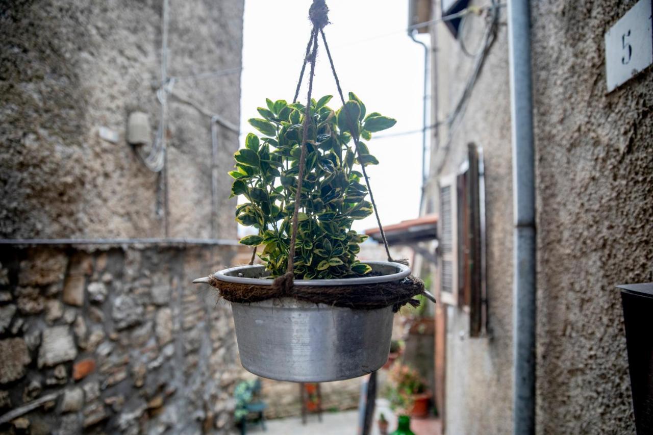 Dimora Turistica De' Piazza Hotel Roccalvecce Екстериор снимка