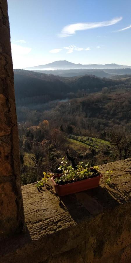 Dimora Turistica De' Piazza Hotel Roccalvecce Екстериор снимка